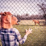 Dlaczego autokary są potrzebne?