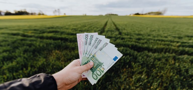 Jak zarządzać księgowością w firmie?