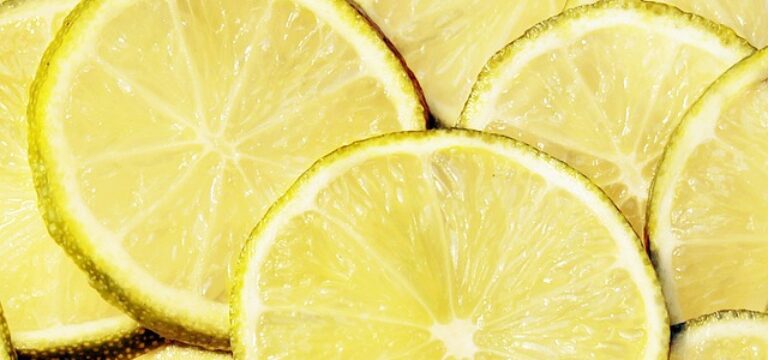 Zielona kuchnia – ekologiczne i oszczędne gadżety dla każdego kucharza.